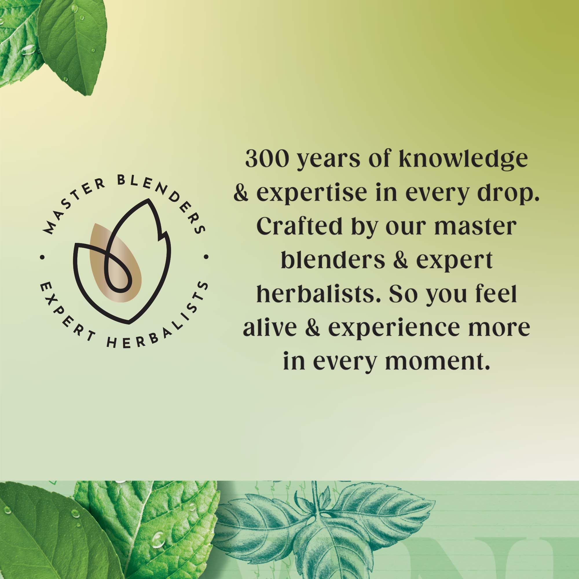 Twinings Mint Green Tea 20 Tea Bags