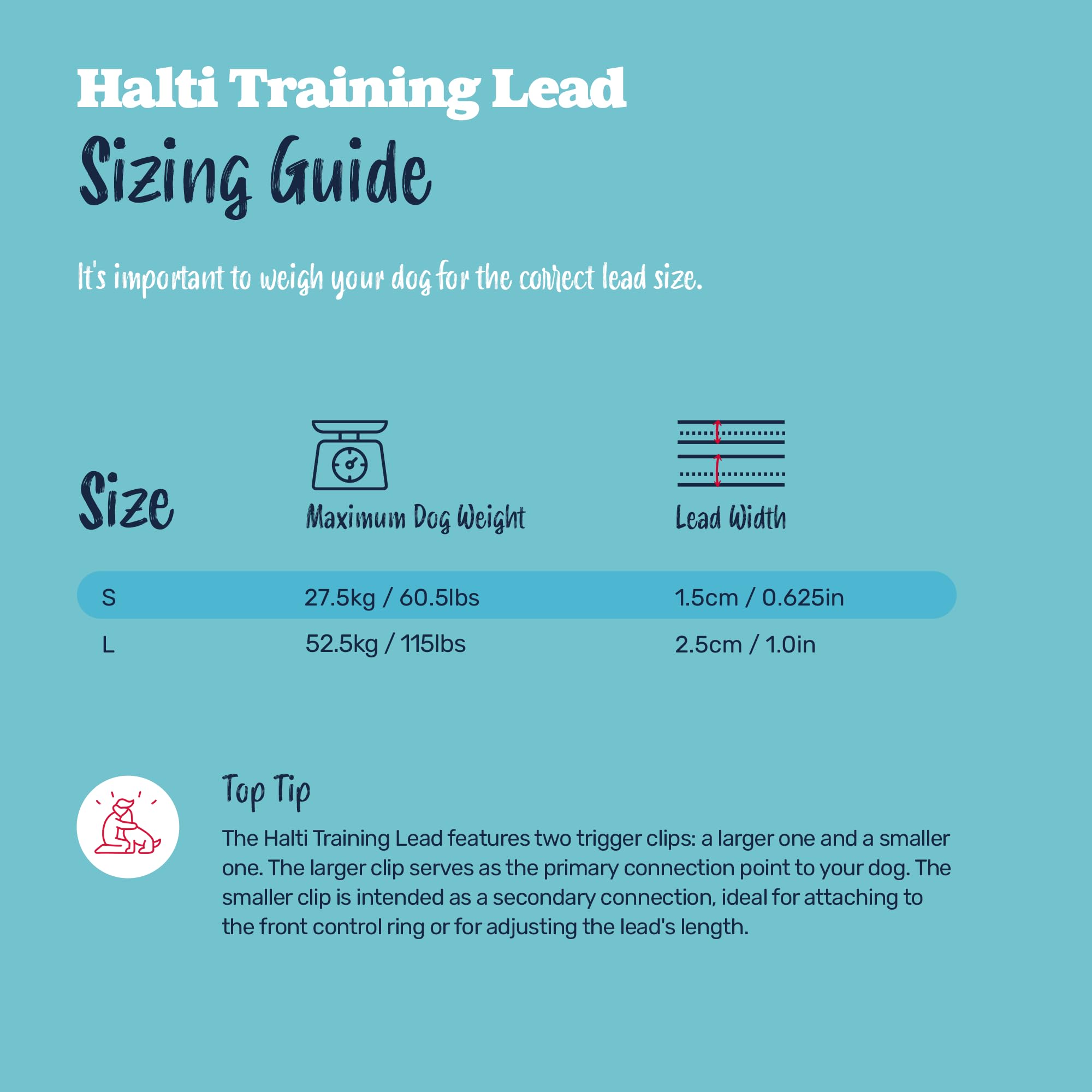 Halti Training Lead - Versatile & Durable Dog Training Lead | Purple, Small, 2m 5