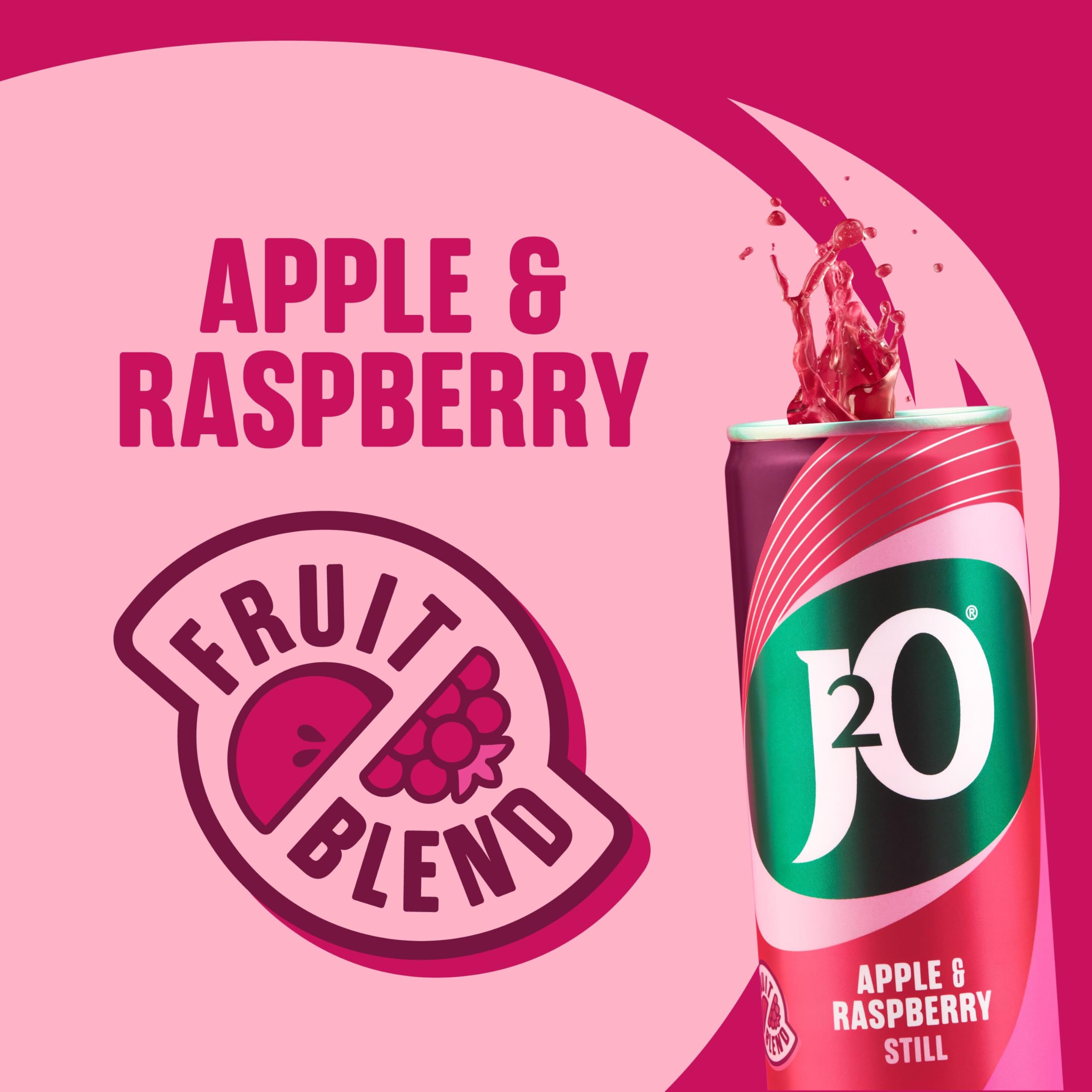 J2O Apple & Raspberry Flavoured Fruit Drink Cans - 4 x 250ml 9