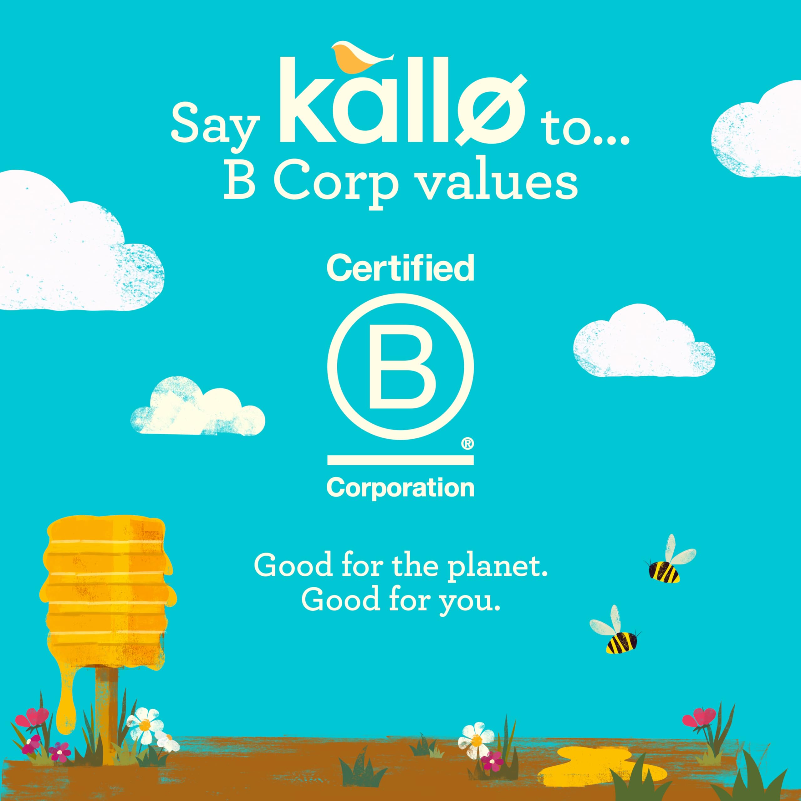 Kallo Honey Puffed Oat Cakes – Gluten-Free, High Fibre, Cholesterol-Lowering Snack