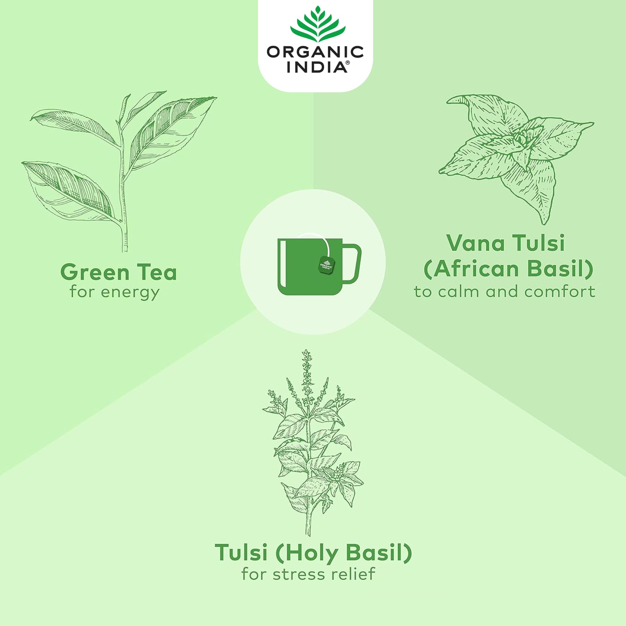 Organic India Tulsi Green Tea Classic, Certified Organic & Vegan, 18 Tea Bags 4