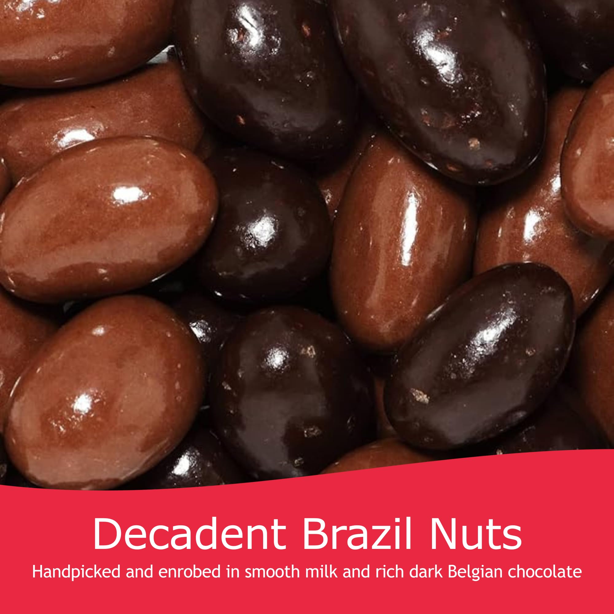 Rita Farhi - Milk & Dark Chocolate Covered Brazil Nuts Luxury Gift Jar 740g 3