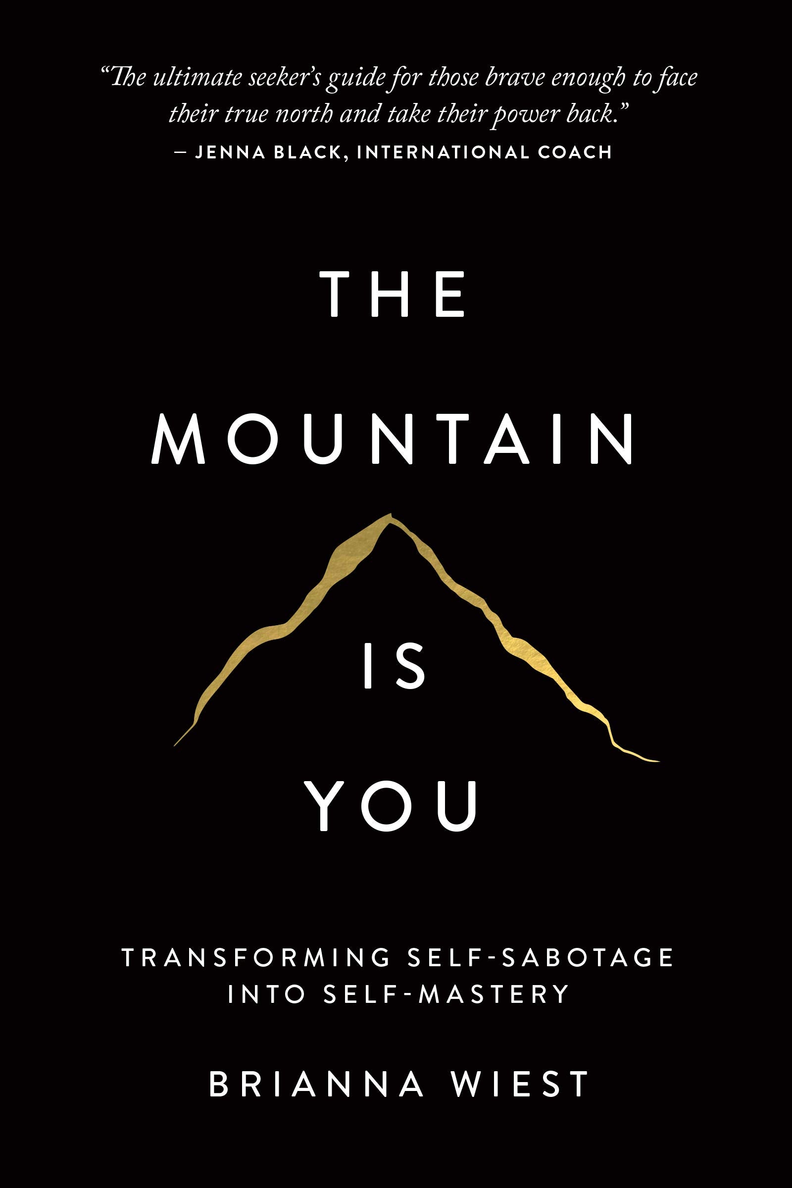 THOUGHT CATALOG The Mountain Is You: Transforming Self-Sabotage Into Self-Mastery | Paperback