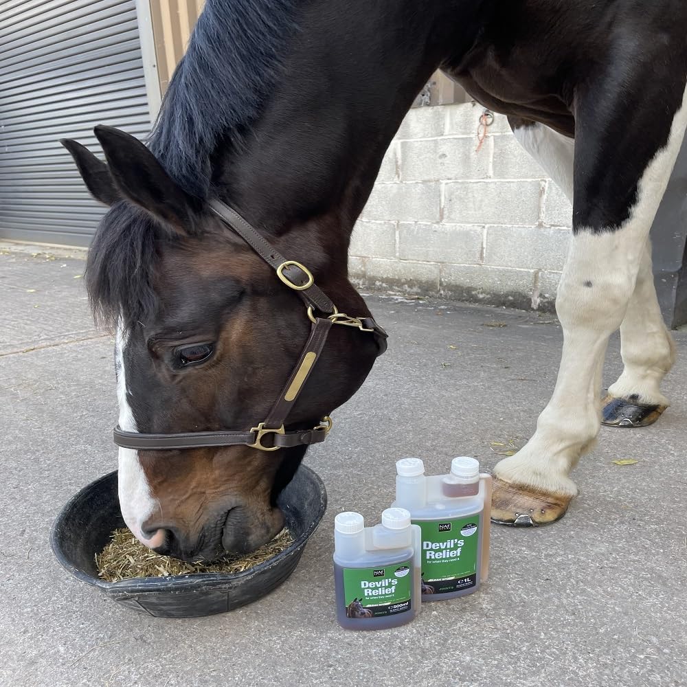 NAF Devil's Relief Liquid Joint Supplement for Horses - Herbal Formula with MSM | 1 Litre 4