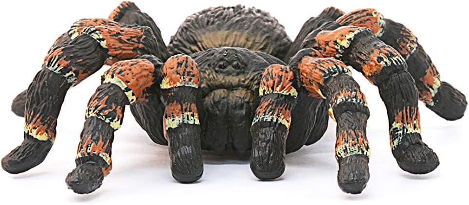 Schleich 14829 Wild Life Tarantula - Detailed Wildlife Figurine for Kids 3+ 3