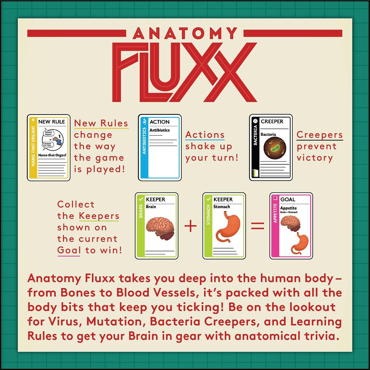 Looney Labs Fluxx: Anatomy Edition Card Game 3