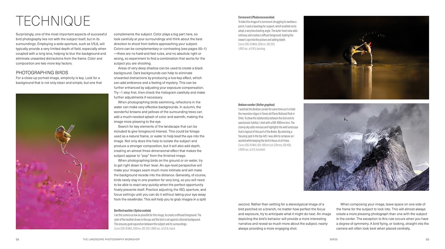 Ammonite Press The Wildlife Photography Workshop - Updated Edition | Paperback | English 7