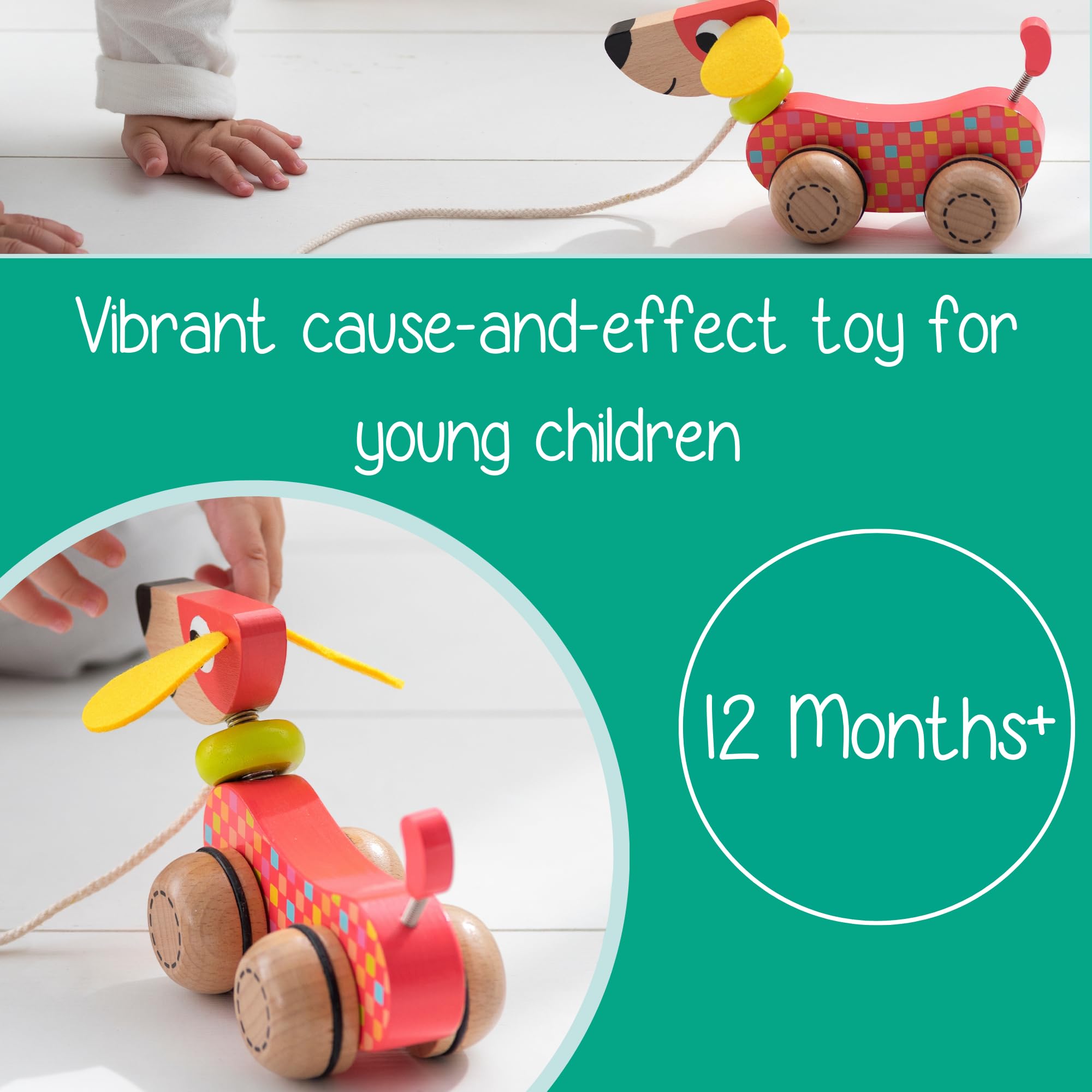 Goula 53459 Wooden Pull-Along Dog Toy - Multicolor for Toddlers 12 Months+ 10