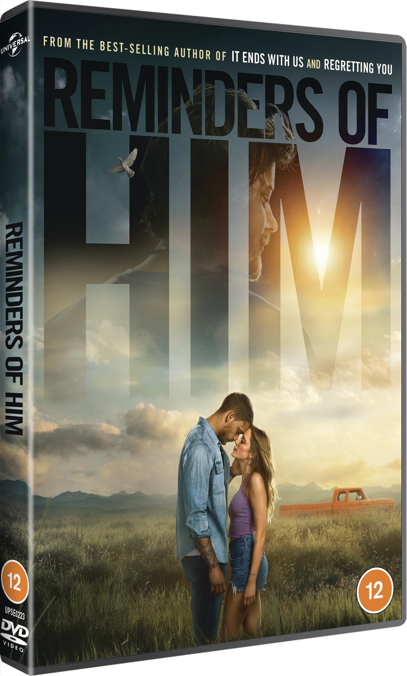 Reminders of Him [DVD]