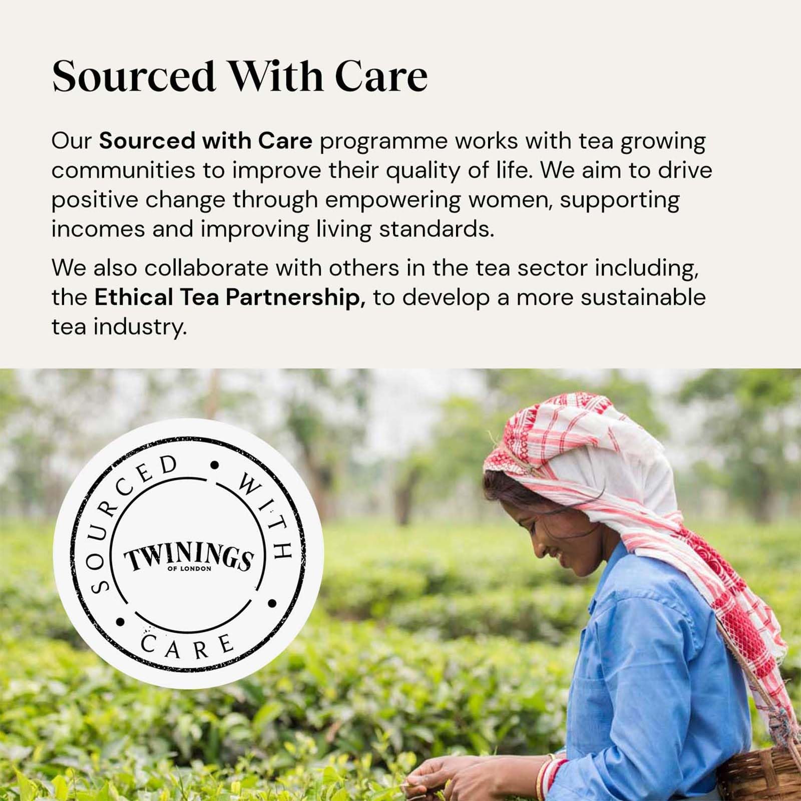 Twinings Superblends Focus Herbal Tea - Mango & Pineapple Infusion with Ginseng & Vitamin B6, 80 Biodegradable Tea Bags 5