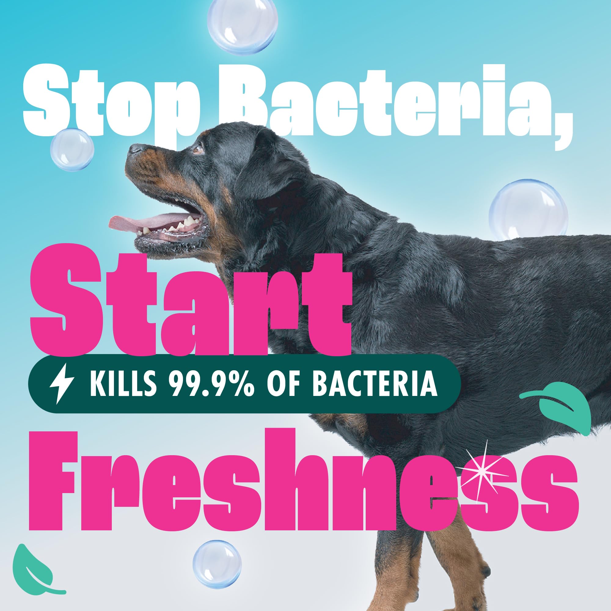 Dirtbusters Anti-Bac Spot Cleaning Solution (1L)