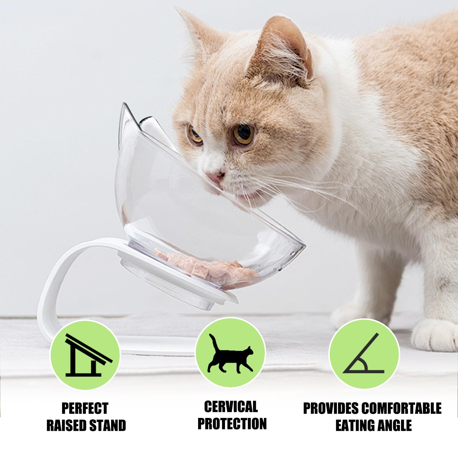 ASelected Raised Cat Bowl with Stand - Tilted 15° Design, Non-Slip Base, Easy Clean Plastic 4