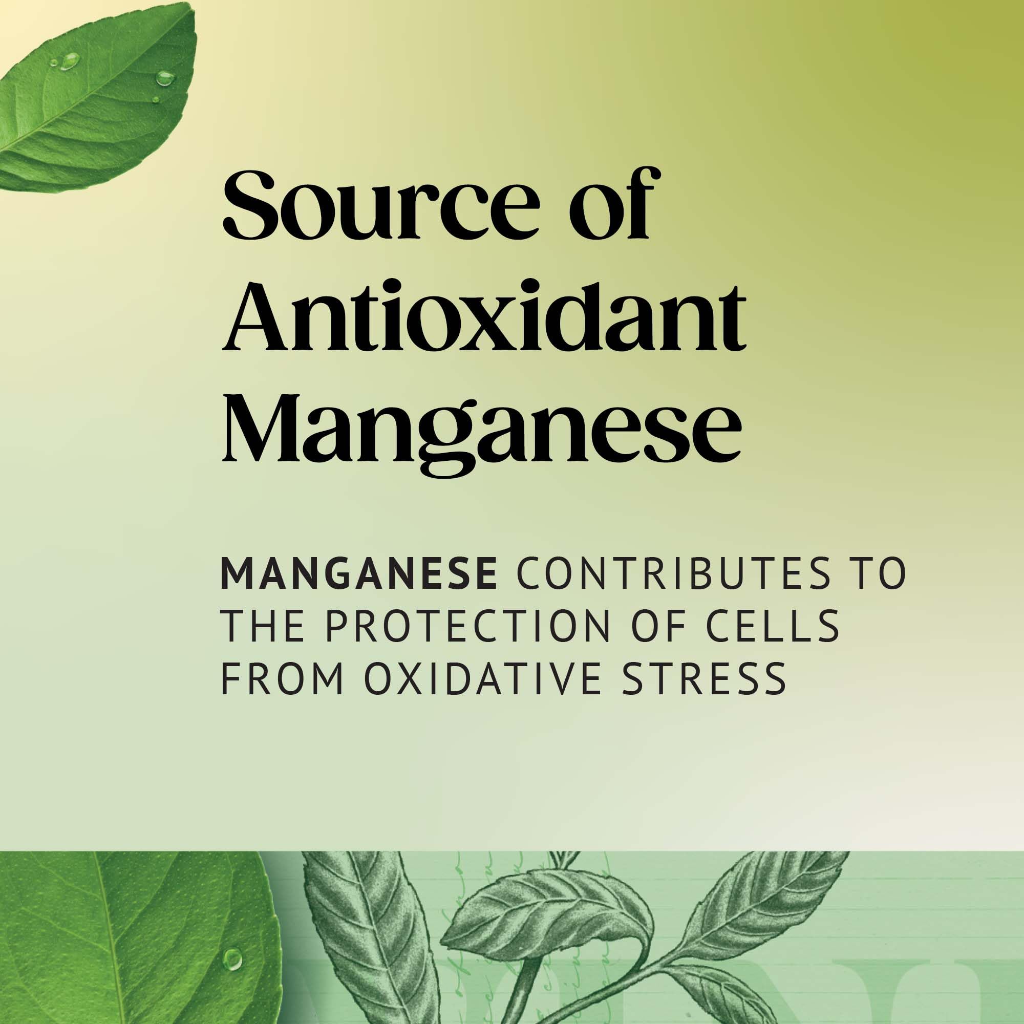 Twinings Decaf Pure Green Tea, Pack of 20 Tea Bags 11