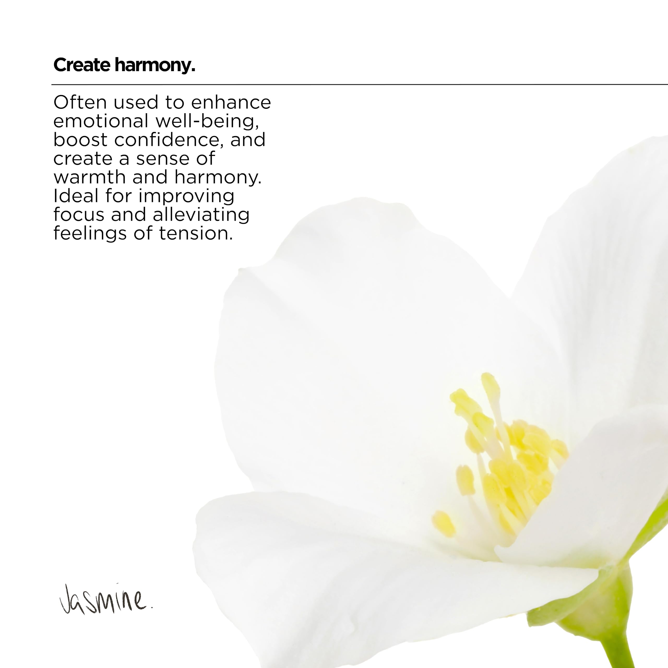 The Lab Co. - Everyday Laundry Conditioner Relaxing 1 Litre Fabric Softener 3