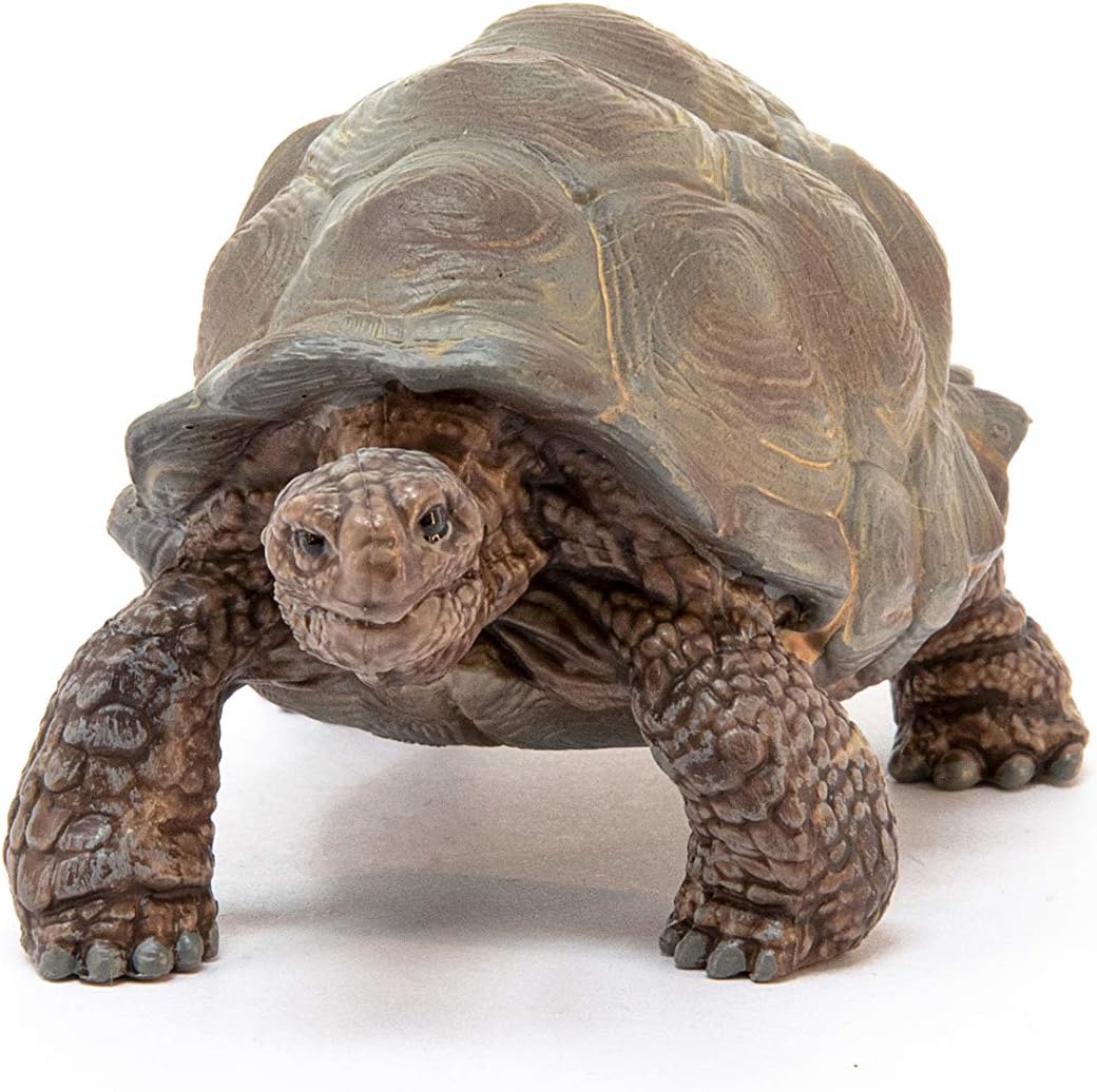 Schleich 14824 Giant Tortoise Wildlife Animal Figure - Educational Play for Toddlers & Kids