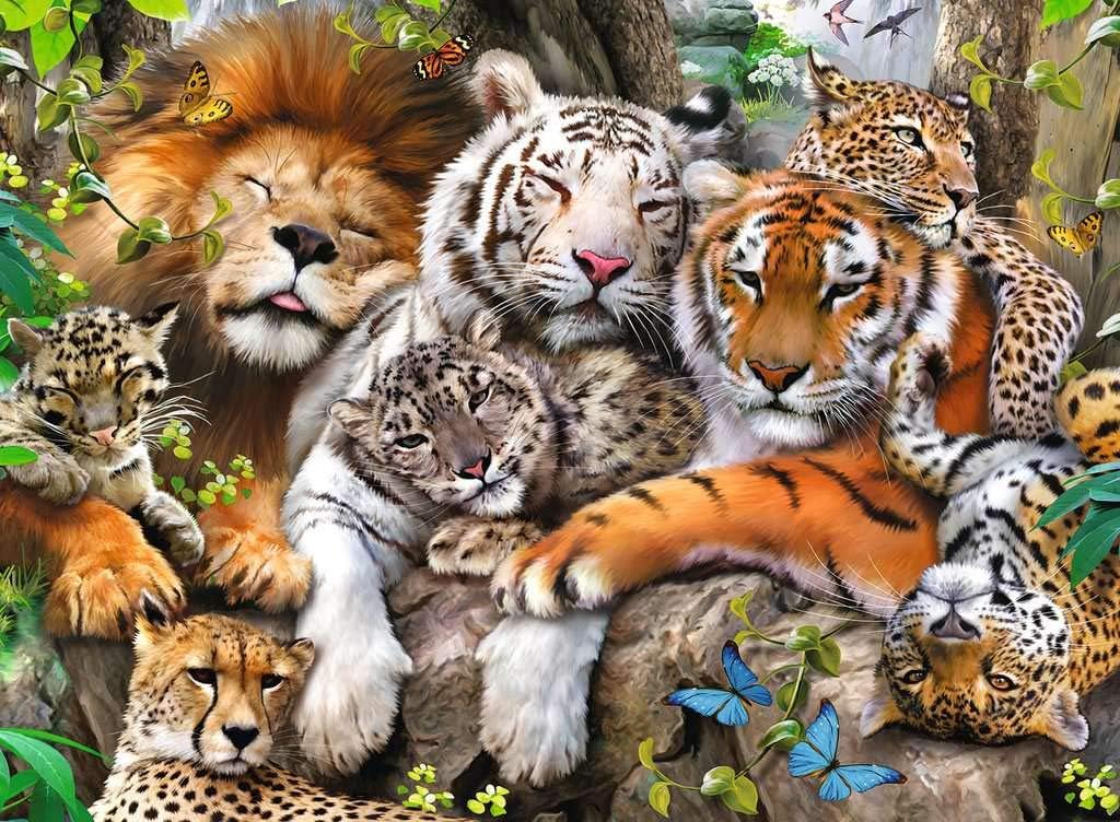 Ravensburger Big Cat Nap 200-Piece Jigsaw Puzzle - Extra Large Pieces for Kids 8 Years & Up 6