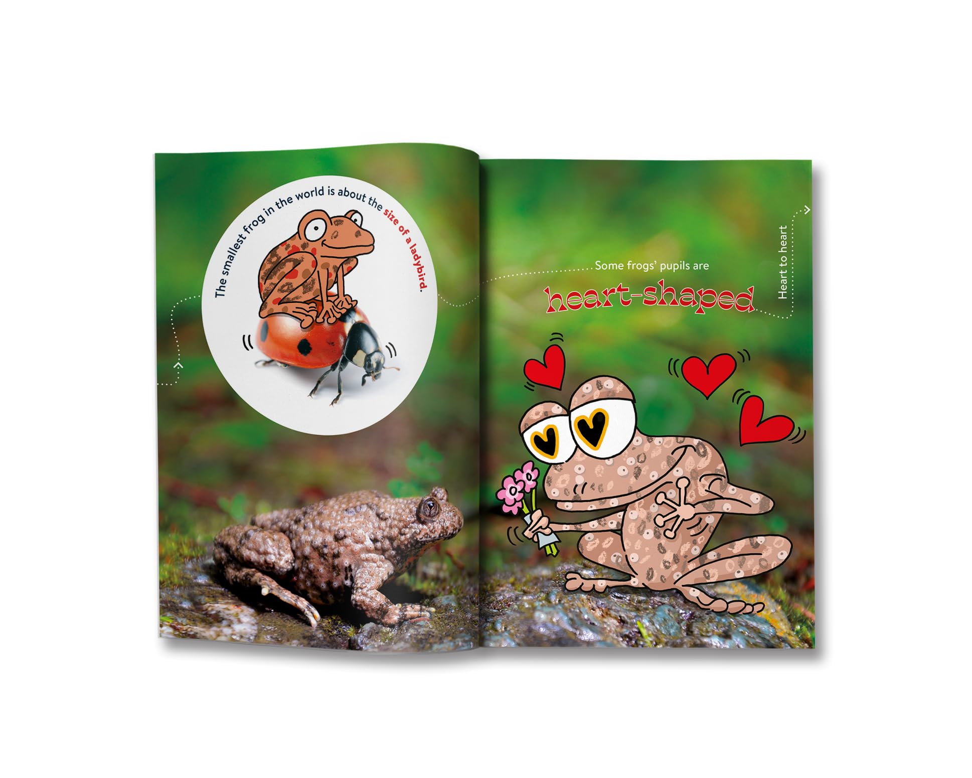 Britannica Books Cute FACTopia!: Follow the Trail of 200 Super-sweet Facts | Hardcover | Ages 8+ 7