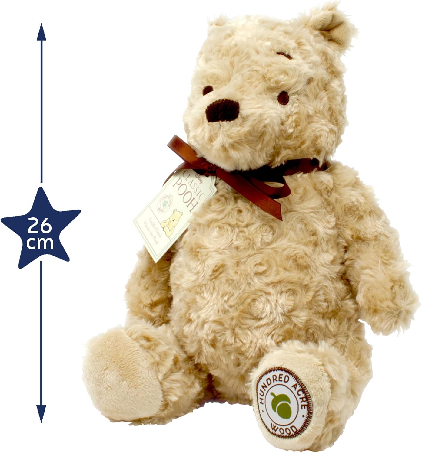 Rainbow Designs Classic Winnie the Pooh Soft Toy - 26cm Plush Bear from Hundred Acre Wood Collection 5