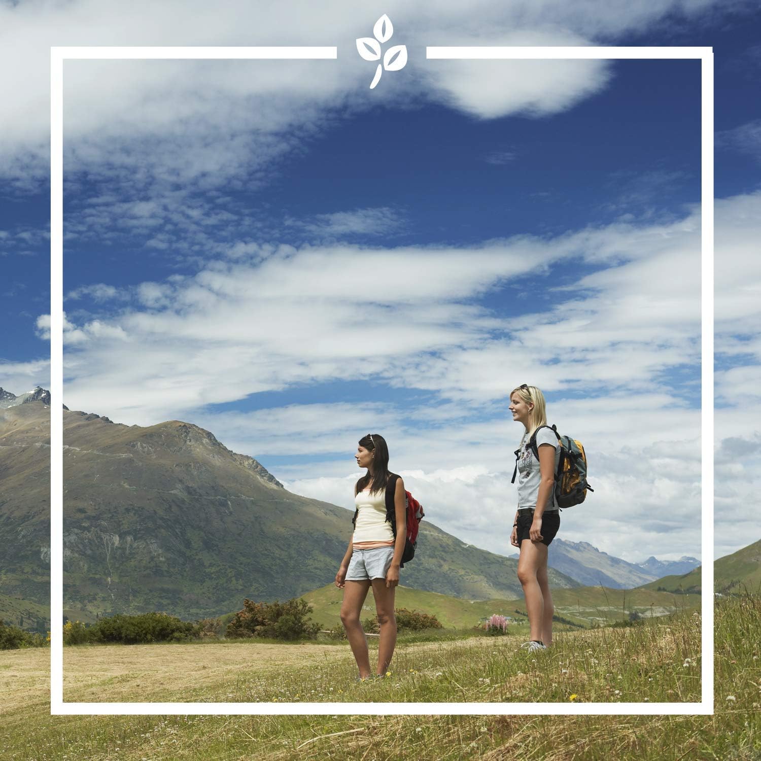 Nature Valley Crunchy Oats and Dark Chocolate Cereal Bars 18 Pack (42g Each) 4