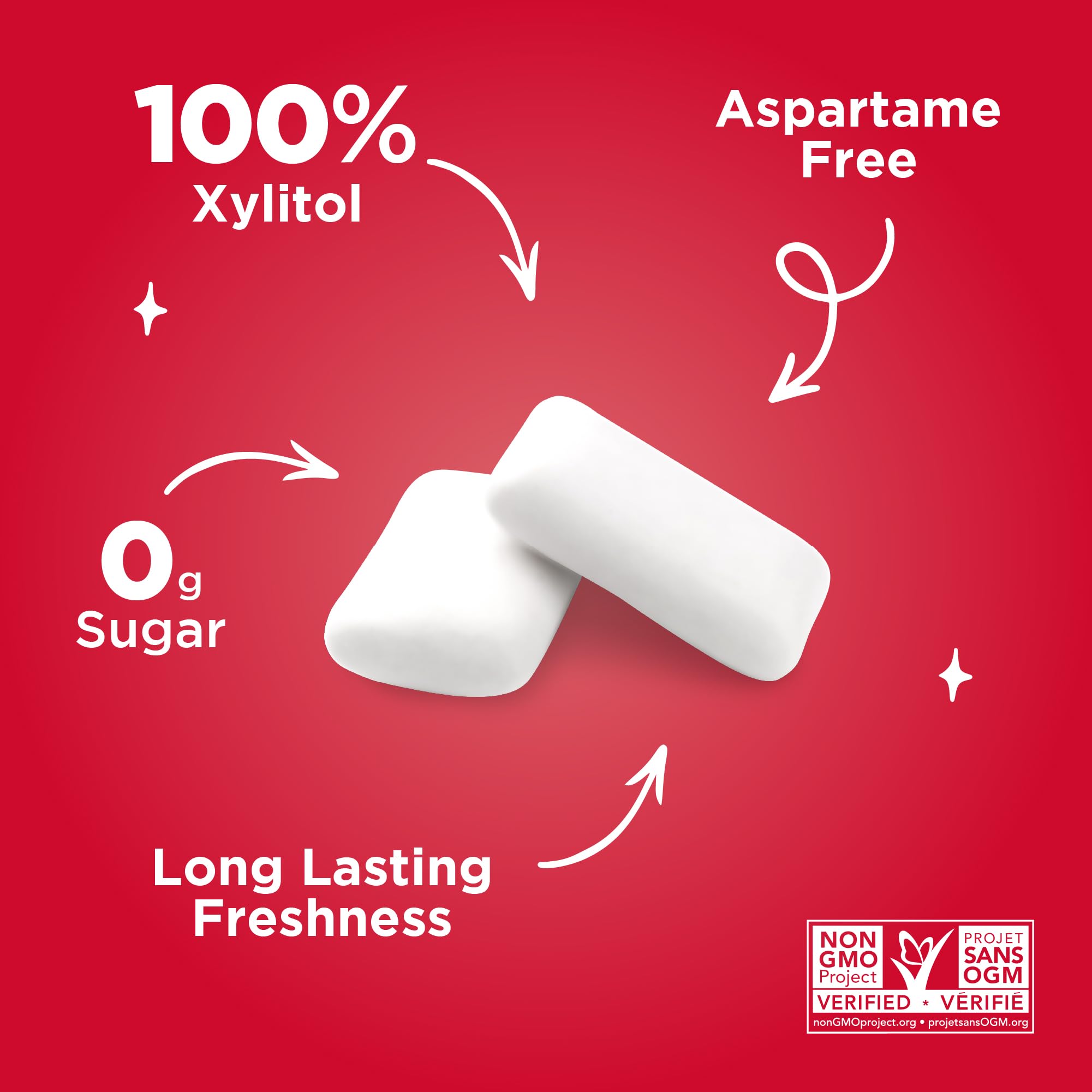 PUR - Natural Cinnamon Sugar-Free Chewing Gum, 55 Pieces (Pack of 1) 4