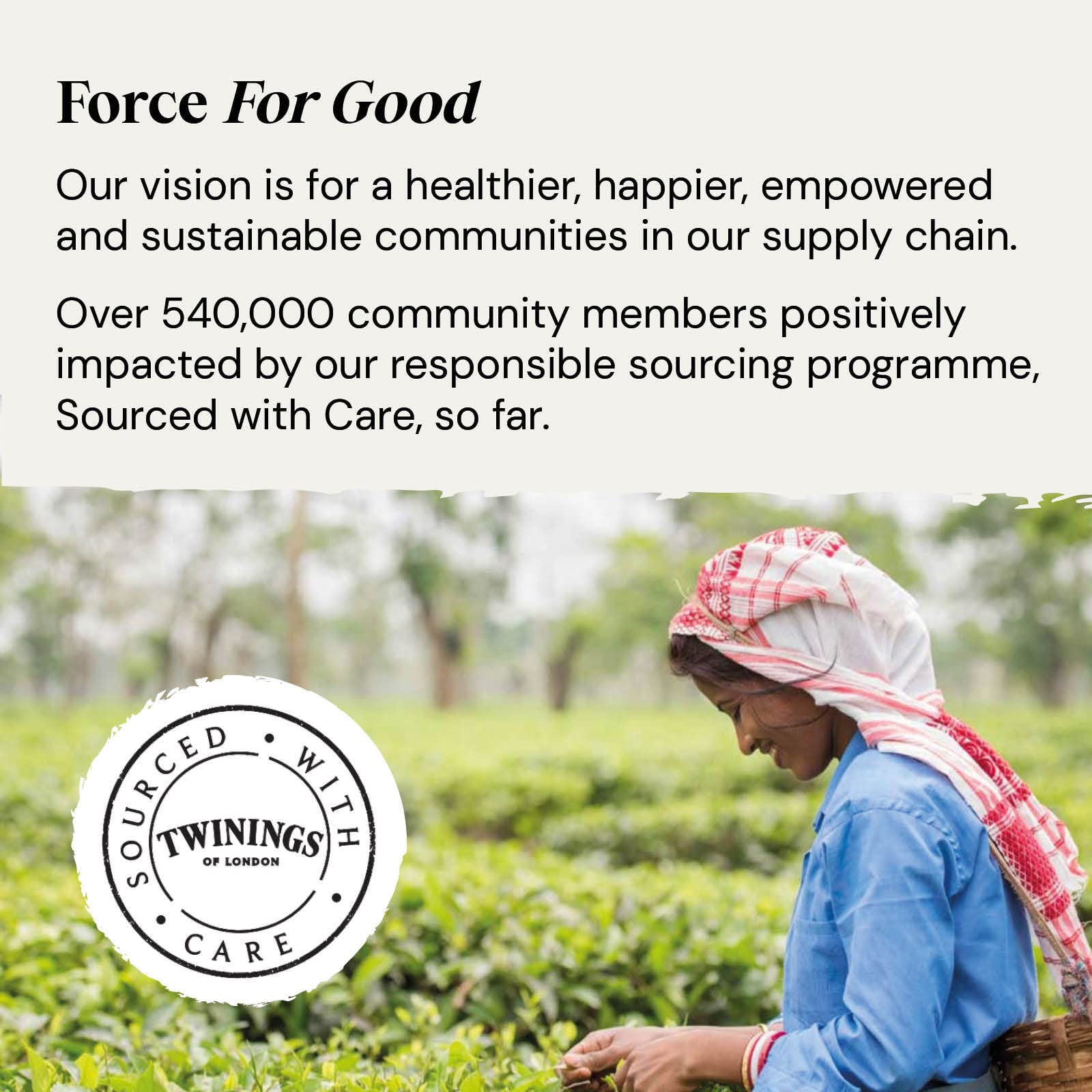 Twinings Mango Strawberry & Lime Fruit Tea 80 Bags (4 x 20) Caffeine Free 6