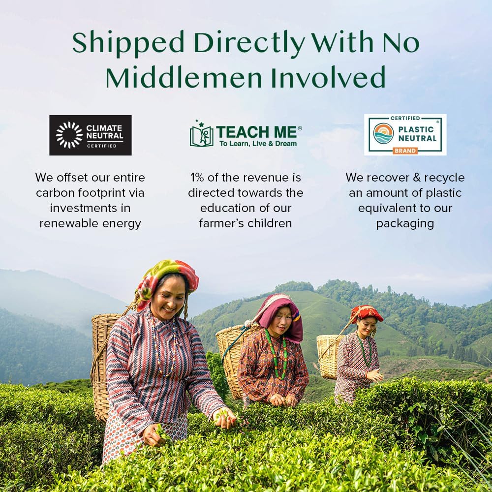 VAHDAM - Cinnamon Masala Chai Tea (100g, 50+ Cups) Whole Loose Leaf Tea 9