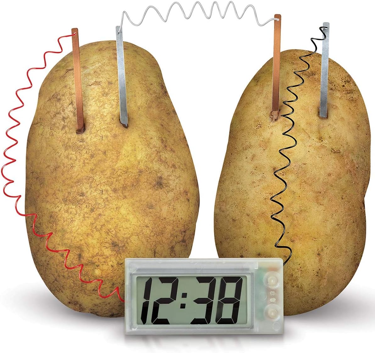 Science Museum Potato Clock - Educational Science Kit 4