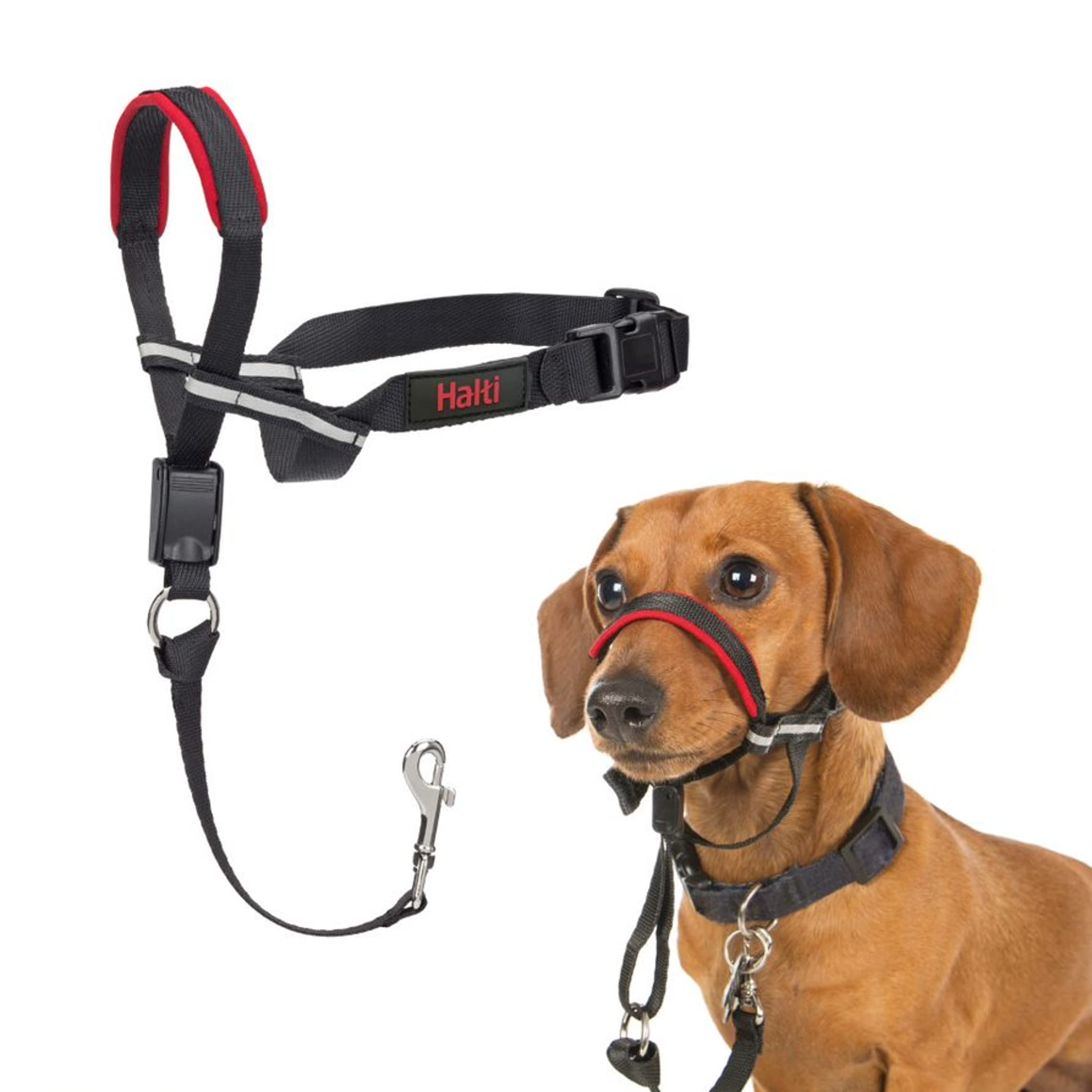 Halti Optifit Headcollar for Dogs - Stops Pulling, Adjustable Fit, Small, Black