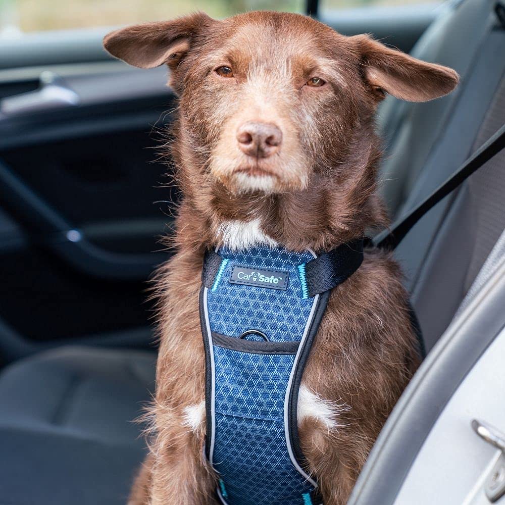 CarSafe Crash Tested Dog Safety Harness - Small Blue | Certified up to 32Kg/70lbs 2