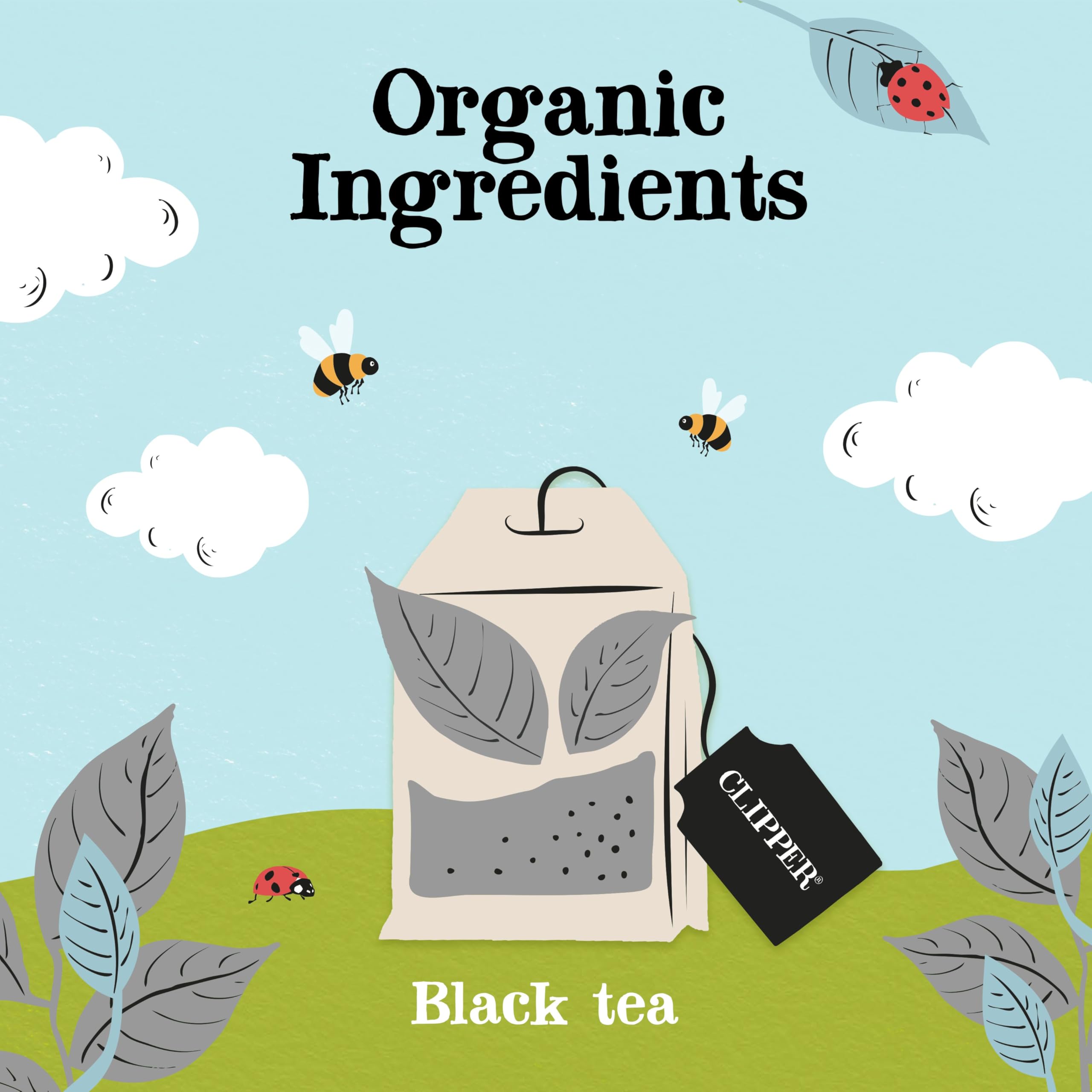 Clipper Organic Fairtrade Everyday Earl Grey 80 Teabags 200g (Pack of 6) - 480 Teabags Total 12