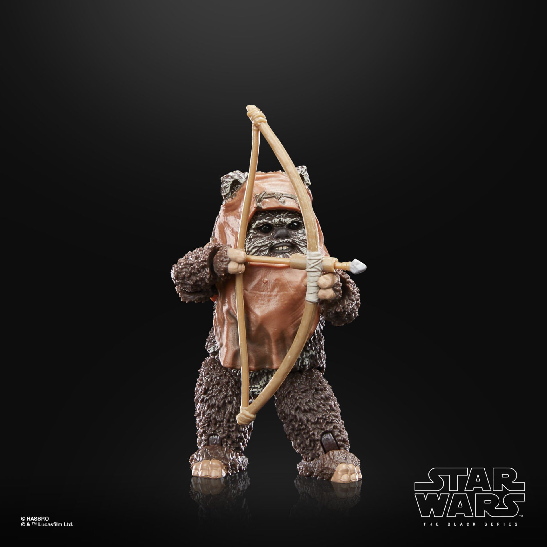 Hasbro Star Wars The Black Series Wicket Action Figure - 6-Inch Collectible from Return of the Jedi 15