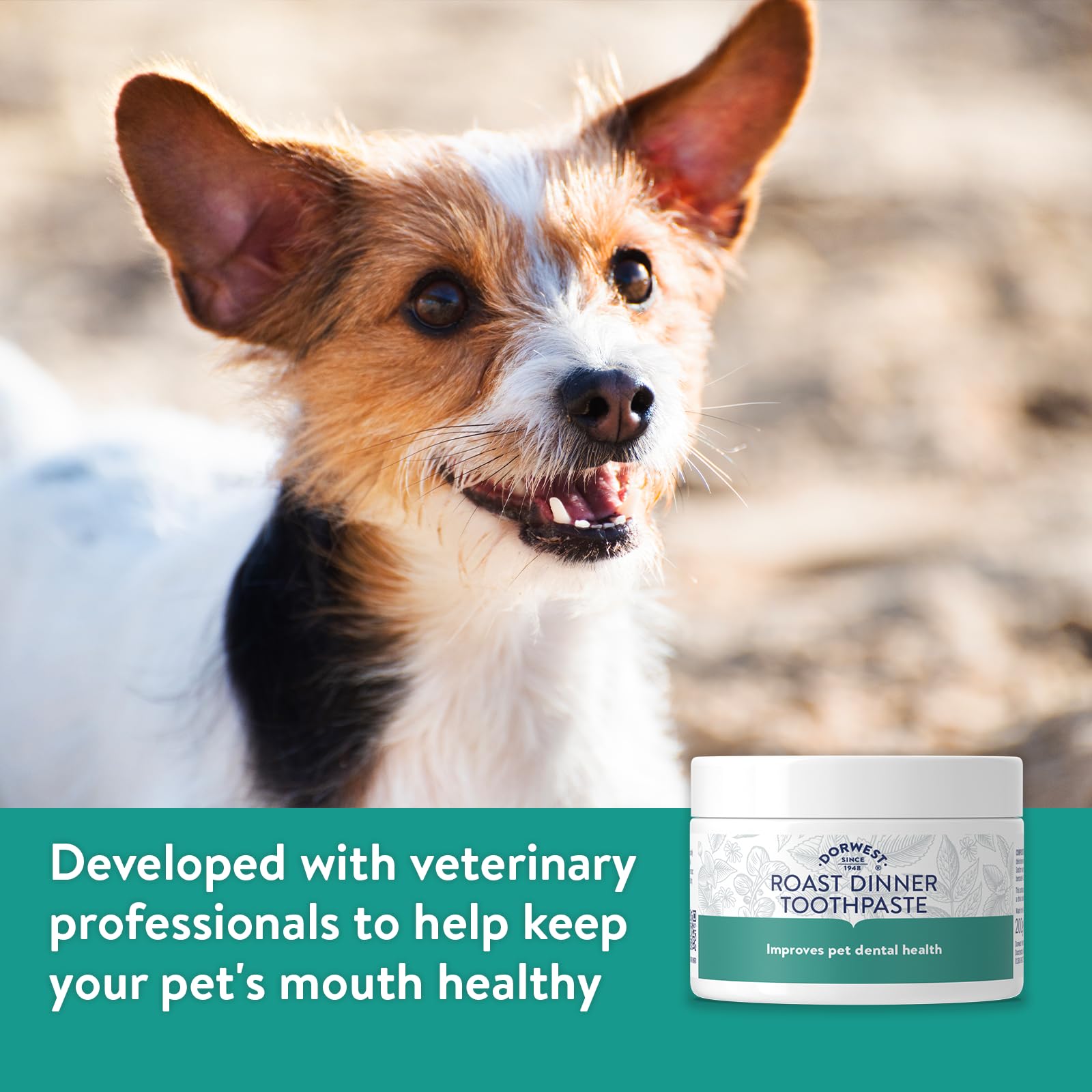 DORWEST HERBS Roast Dinner Toothpaste for Dogs - 200g | Whitening & Gum Health 2