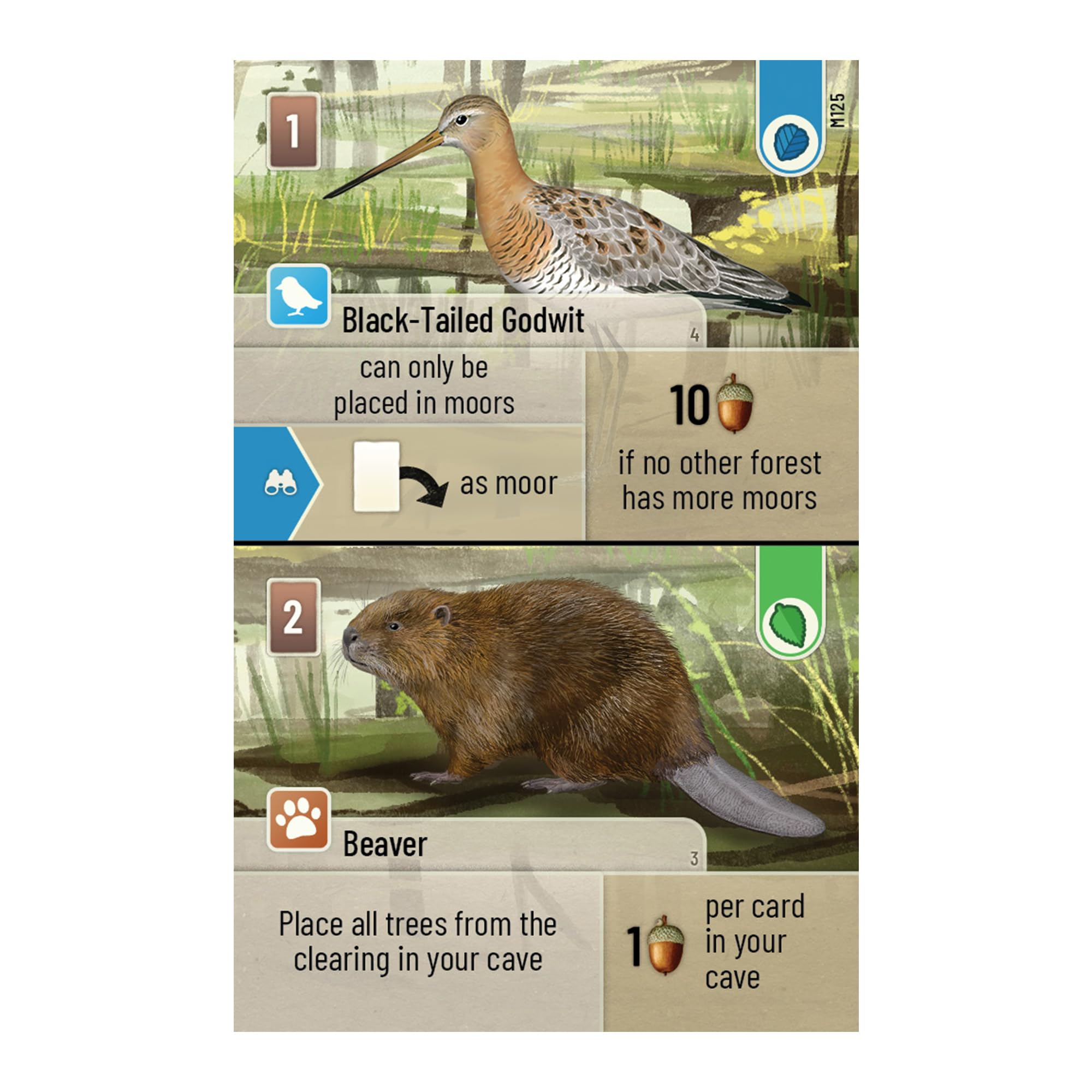 Asmodee Forest Shuffle Dartmoor Family Card Game for 2-4 Players, Ages 10+ 14