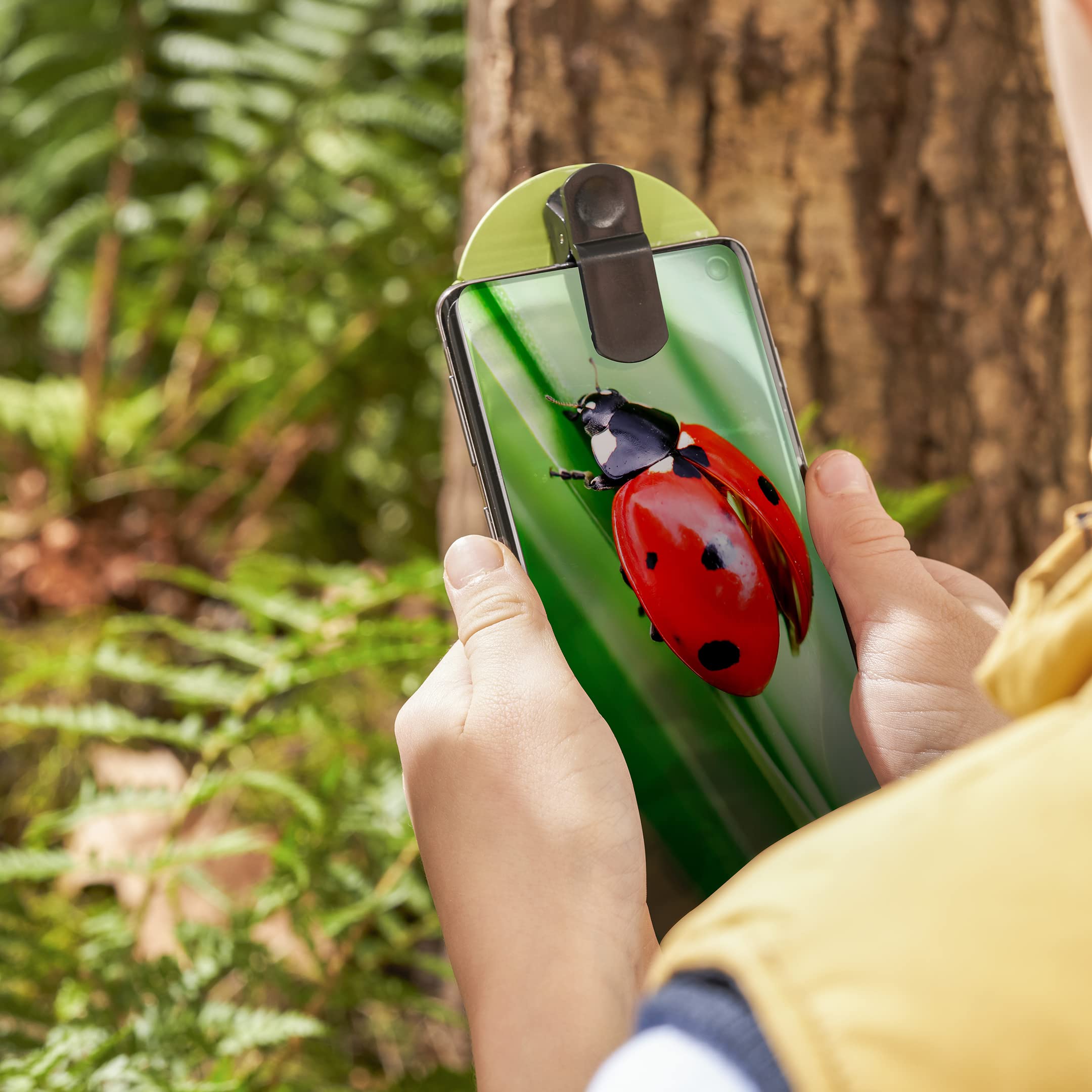 My Living World LW106 Bug Photography Kit - Macro Lens & Magnifier for Kids 6-10 4