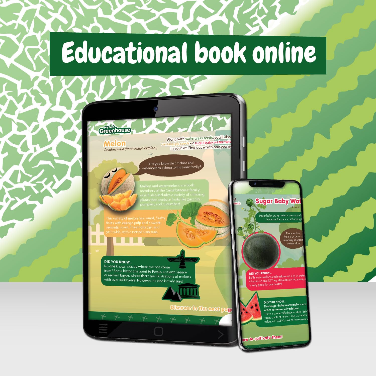 Science4you Small Greenhouse for Kids - Grow Kit with Watermelon, Melon & Watercress Seeds for Children 6+ 14