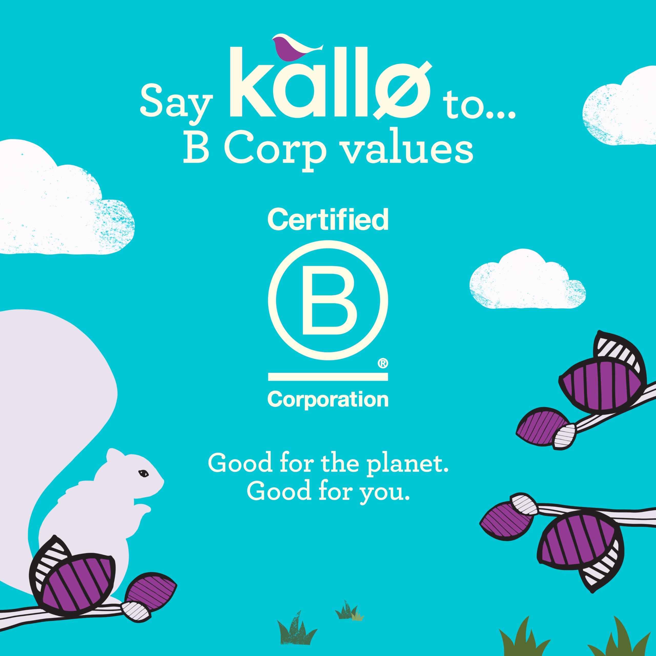 Kallo Organic Belgian Milk Chocolate Thins Rice Cake | Gluten Free | 75g 6