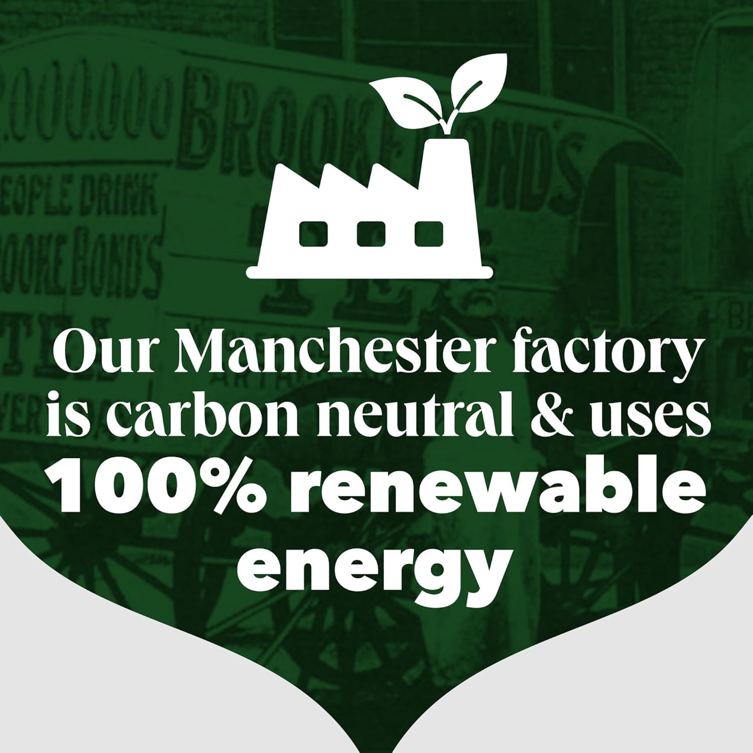 PG Tips - Original Black Tea Bags 400 Count, Full-Bodied & Refreshing 6