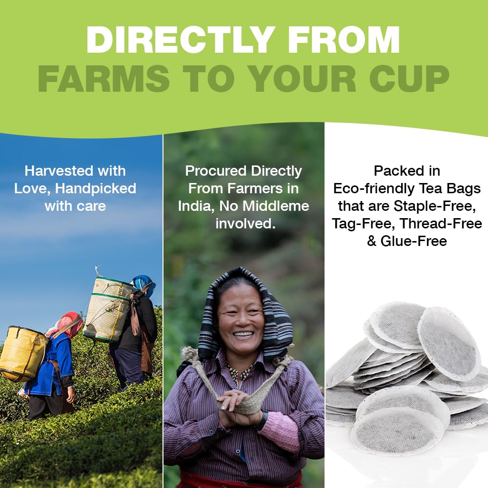 HANDPICK Green Tea Bags - 100% Pure Green Tea, 100 Bags, No Adhesive, No Bleach, Gluten Free 9