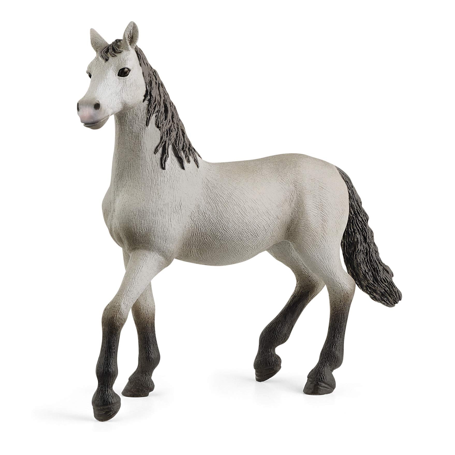 SCHLEICH Pura Raza Española Young Horse - Detailed Horse Club Figurine for Kids 5-12