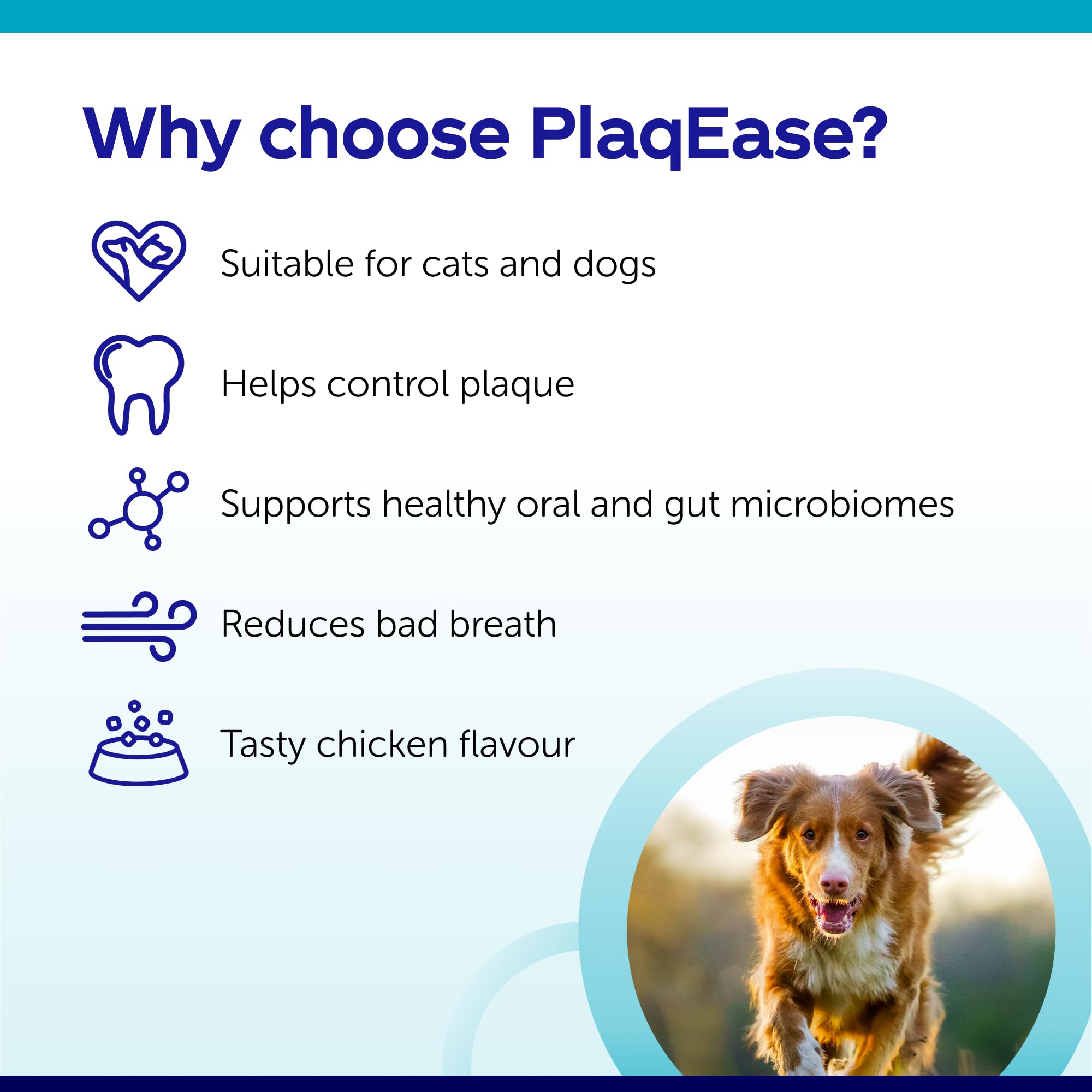 Protexin PlaqEase Dental Powder for Dogs and Cats - Reduces Plaque & Tartar | Chicken Flavor | 75g 2