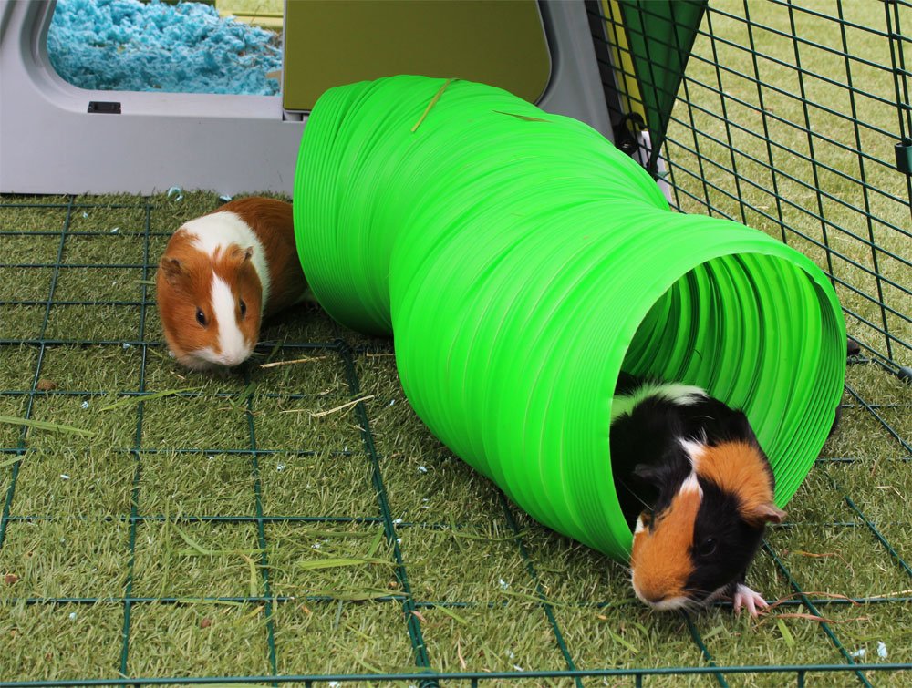 Snugglesafe All Weather Flexible Bunny Warren Fun Tunnel for Small Animals | 76cm Length | Green Plastic
