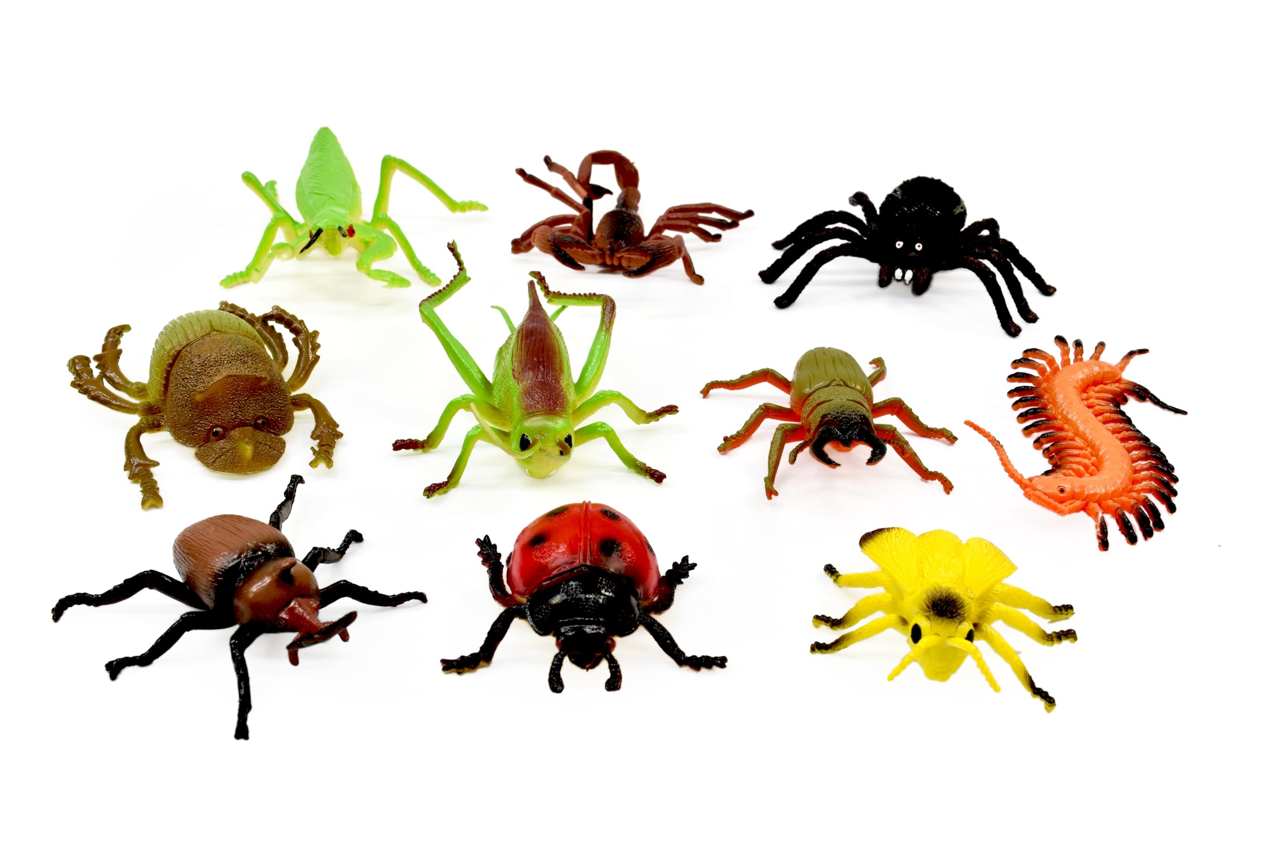 Peterkin Classics Insect World 10-Piece Toy Set | 6-12cm Figures