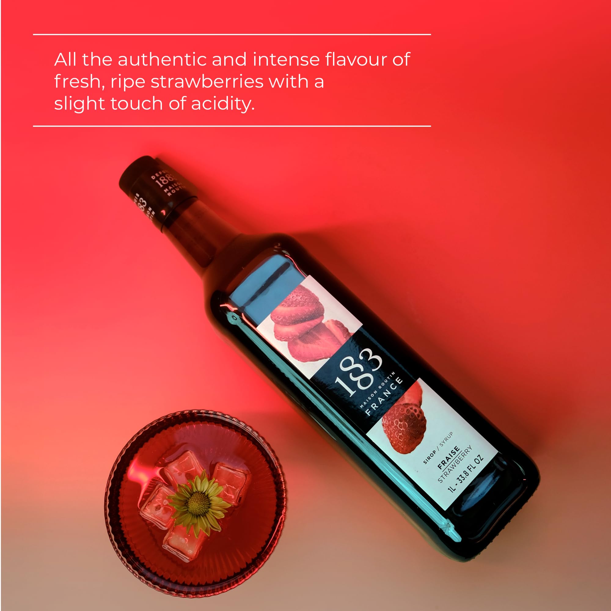 1883 MAISON ROUTIN Strawberry Syrup | 1L Liquid Concentrate for Coffee, Cocktails & Smoothies 2