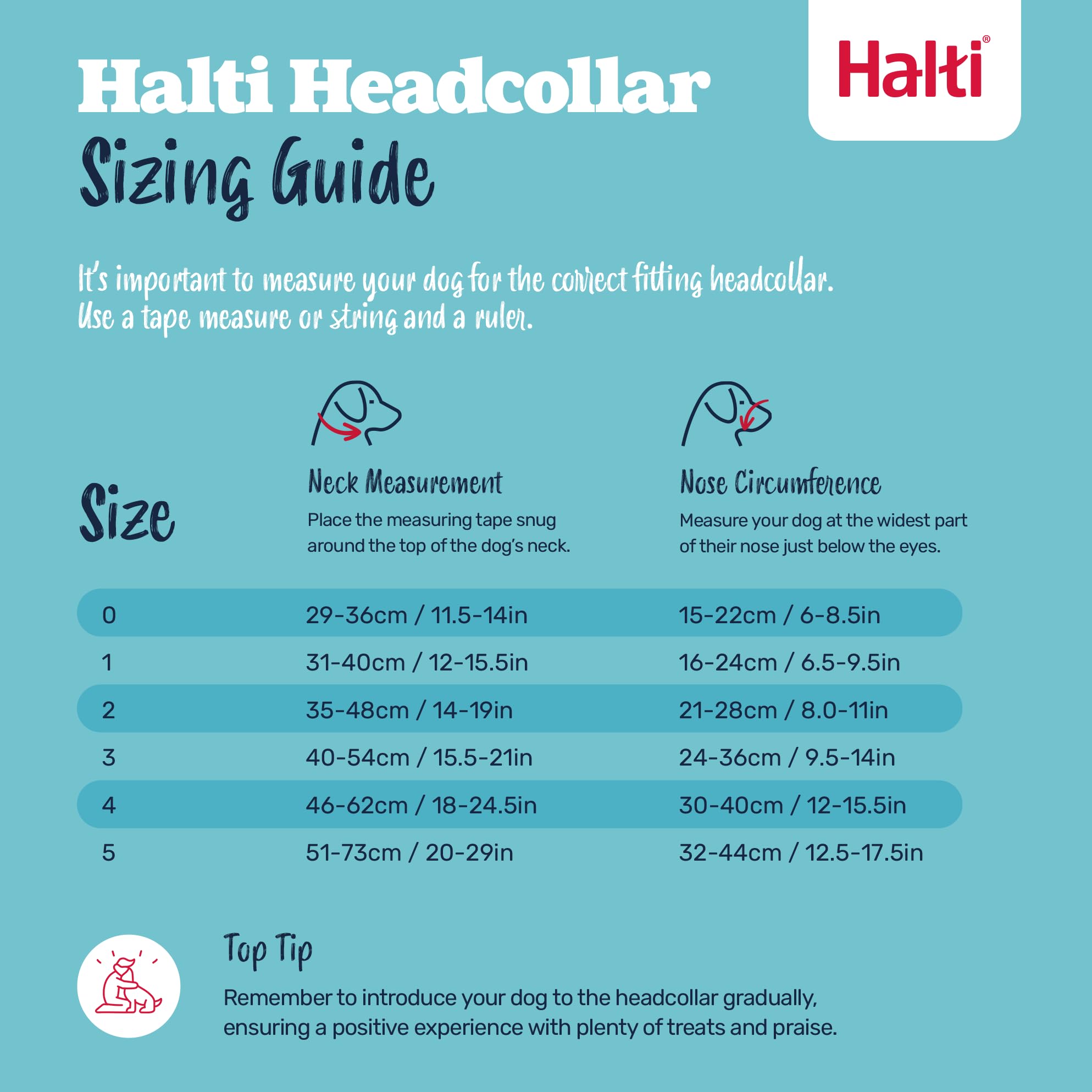 Halti Headcollar - Stops Pulling for Large Dogs | Reflective | Size 4 Desert Sand 5