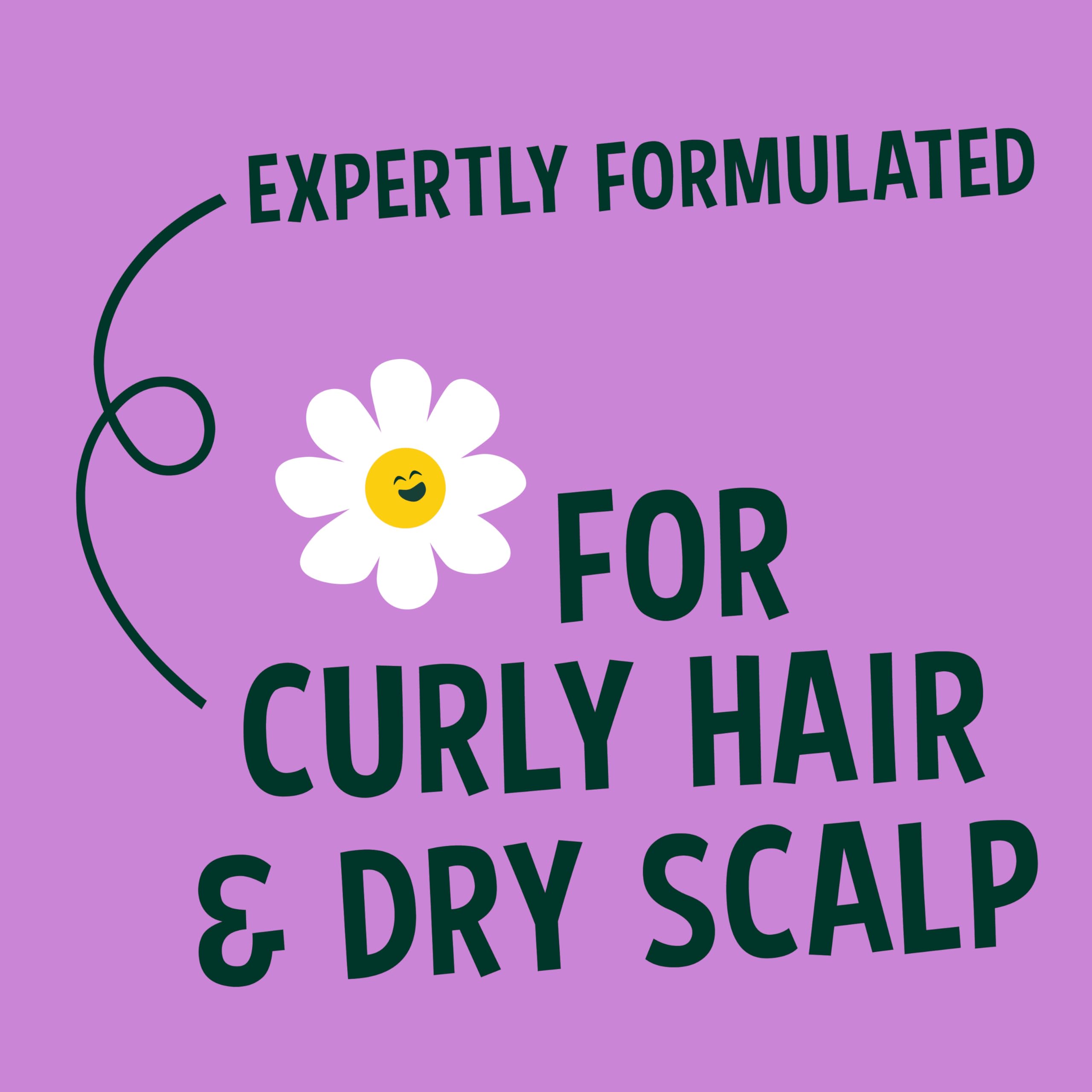 Faith In Nature Natural Shea & Argan Shampoo, Moisturising for Curly Hair & Dry Scalp, Vegan & Cruelty Free, No SLS, Silicones or Parabens, 400ml