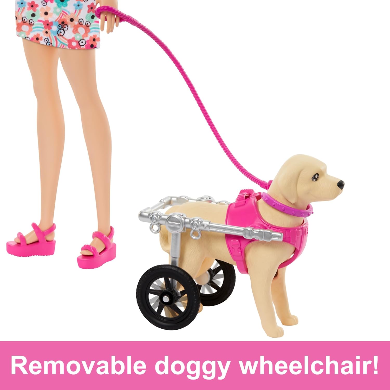 Barbie Doll with 2 Toy Dogs & Pet Accessories - Wheelchair-Inclusive Playset for Ages 3+ 3