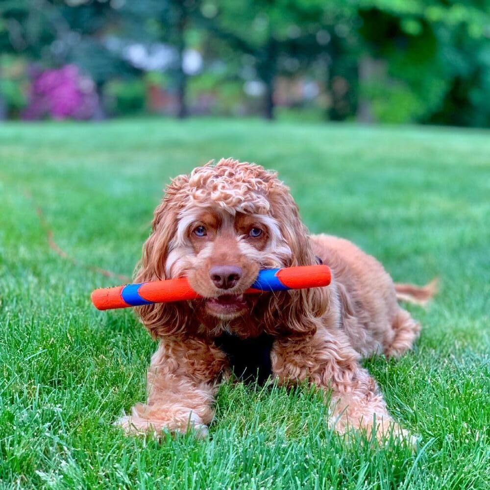 Chuckit! Ultra Fetch Stick - Durable Natural Rubber Interactive Fetch Toy | Size M | 28 cm