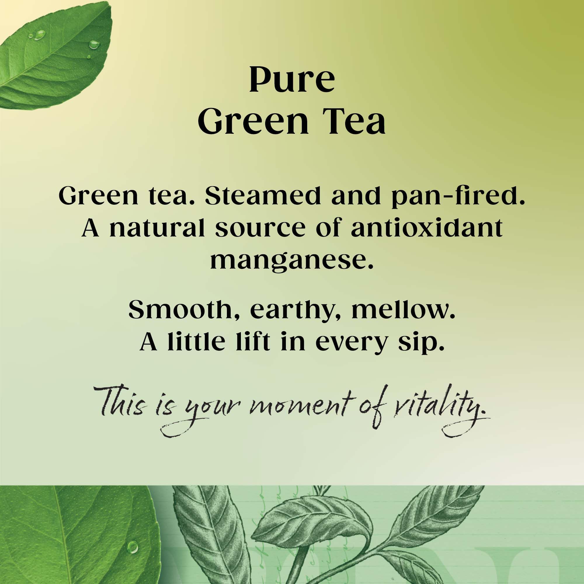 Twinings Pure Green Tea - 320 Tea Bags (Multipack of 4 x 80) 3