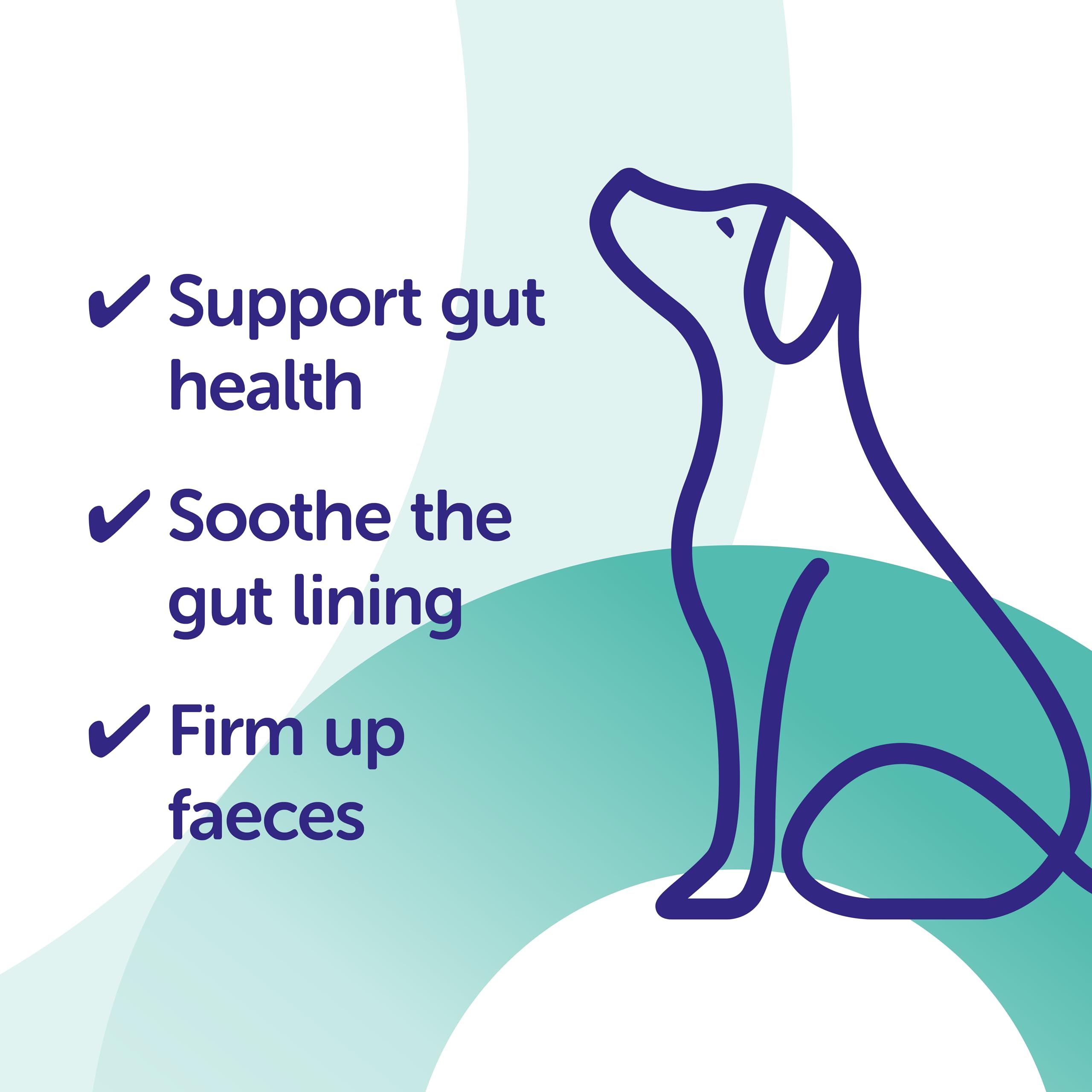 Protexin Veterinary Pro-Kolin Advanced Paste for Dogs - Digestive Support | 30ml Syringe 2