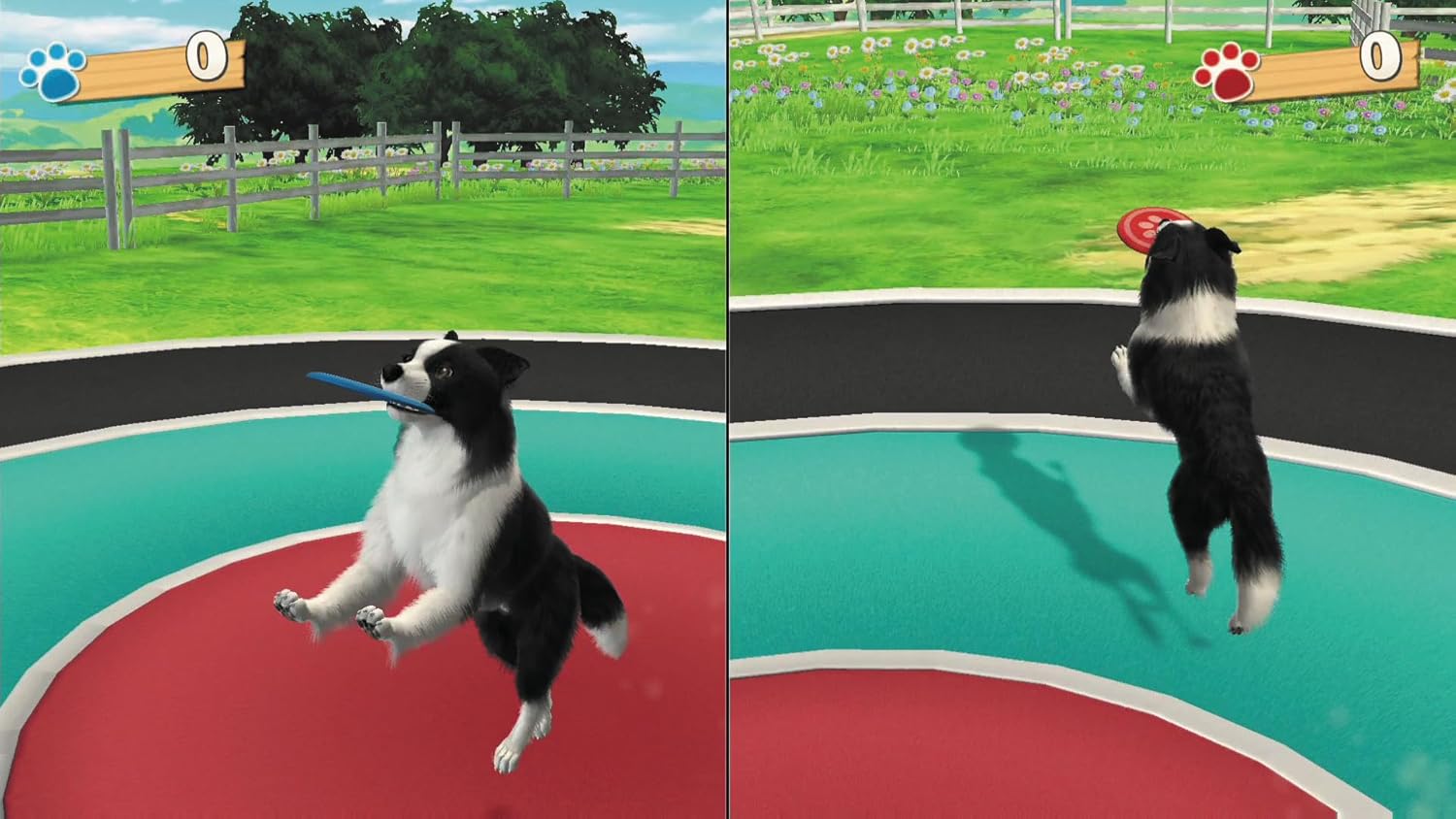 Fun! Fun! Animal Park - Nintendo Switch